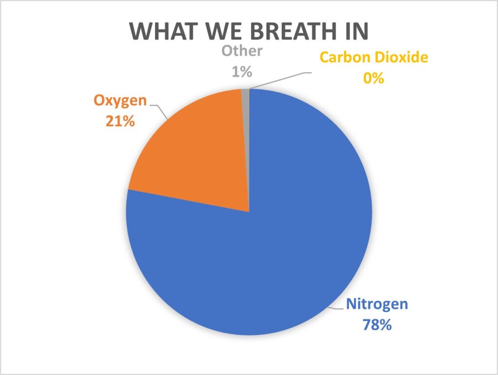 What we breath in